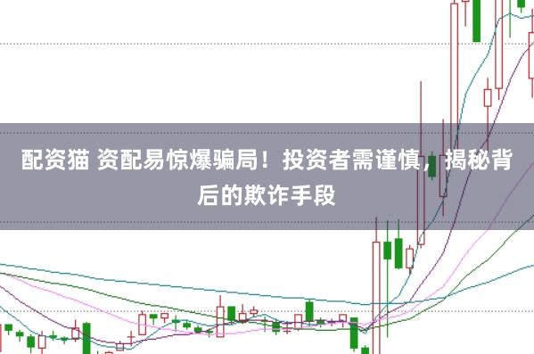 配资猫 资配易惊爆骗局！投资者需谨慎，揭秘背后的欺诈手段