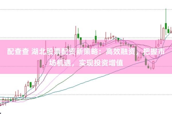 配查查 湖北股票配资新策略：高效融资，把握市场机遇，实现投资增值