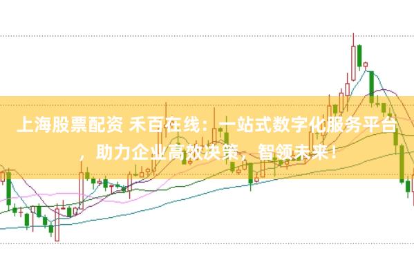 上海股票配资 禾百在线：一站式数字化服务平台，助力企业高效决策，智领未来！