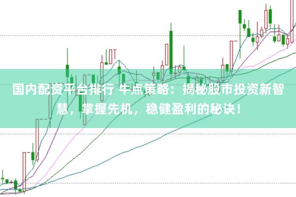 国内配资平台排行 牛点策略：揭秘股市投资新智慧，掌握先机，稳健盈利的秘诀！