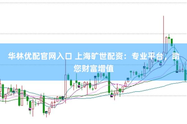 华林优配官网入口 上海旷世配资：专业平台，助您财富增值