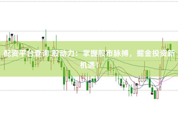 配资平台查询 股动力：掌握股市脉搏，掘金投资新机遇！