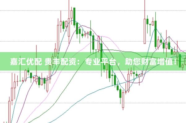 嘉汇优配 贵丰配资：专业平台，助您财富增值！