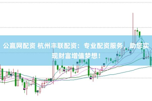 公赢网配资 杭州丰联配资：专业配资服务，助您实现财富增值梦想！