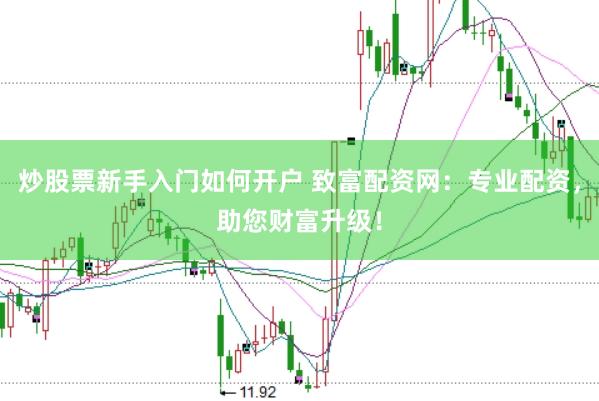 炒股票新手入门如何开户 致富配资网：专业配资，助您财富升级！