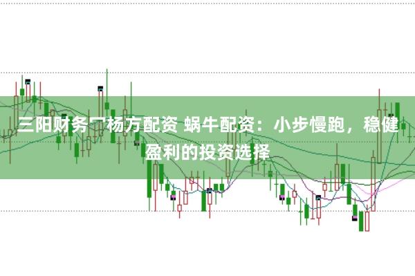 三阳财务冖杨方配资 蜗牛配资：小步慢跑，稳健盈利的投资选择