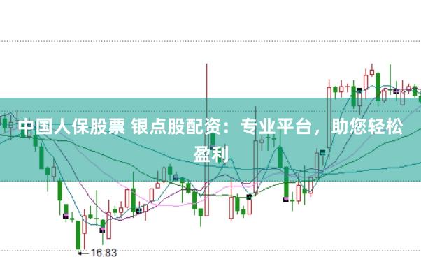 中国人保股票 银点股配资：专业平台，助您轻松盈利