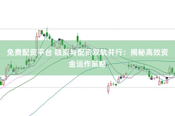 免费配资平台 融资与配资双轨并行：揭秘高效资金运作策略