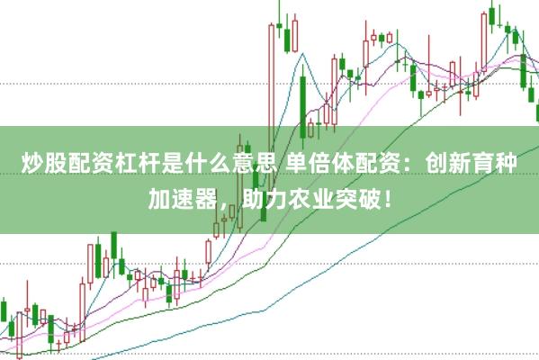 炒股配资杠杆是什么意思 单倍体配资：创新育种加速器，助力农业突破！