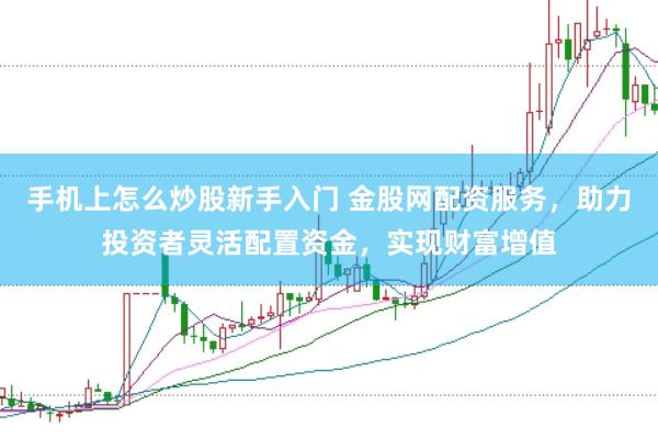 手机上怎么炒股新手入门 金股网配资服务，助力投资者灵活配置资金，实现财富增值