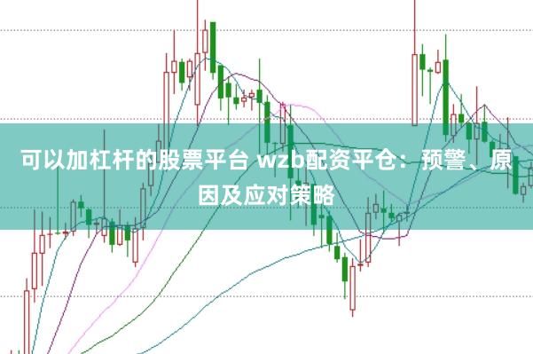 可以加杠杆的股票平台 wzb配资平仓：预警、原因及应对策略
