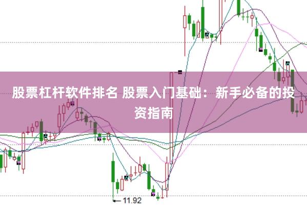 股票杠杆软件排名 股票入门基础：新手必备的投资指南