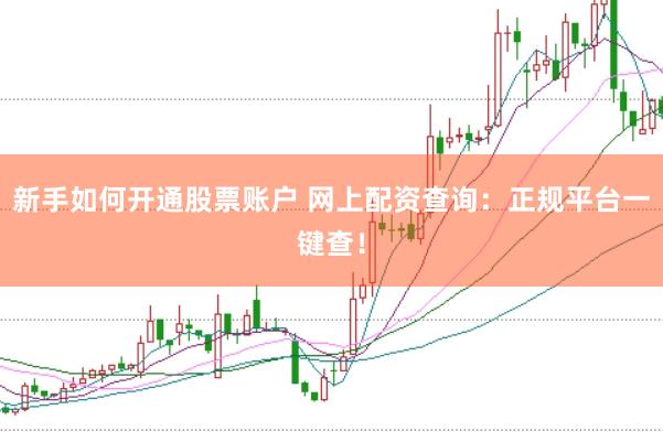 新手如何开通股票账户 网上配资查询:正规平台一键查!