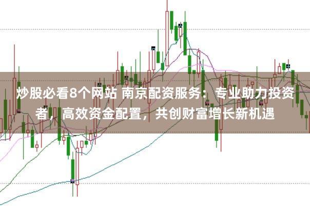 炒股必看8个网站 南京配资服务:专业助力投资者,高效资金配置,共创财富增长新机遇