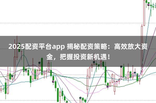 2025配资平台app 揭秘配资策略：高效放大资金，把握投资新机遇！