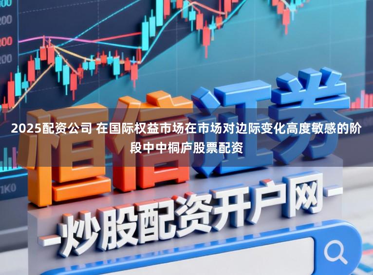 2025配资公司 在国际权益市场在市场对边际变化高度敏感的阶段中中桐庐股票配资