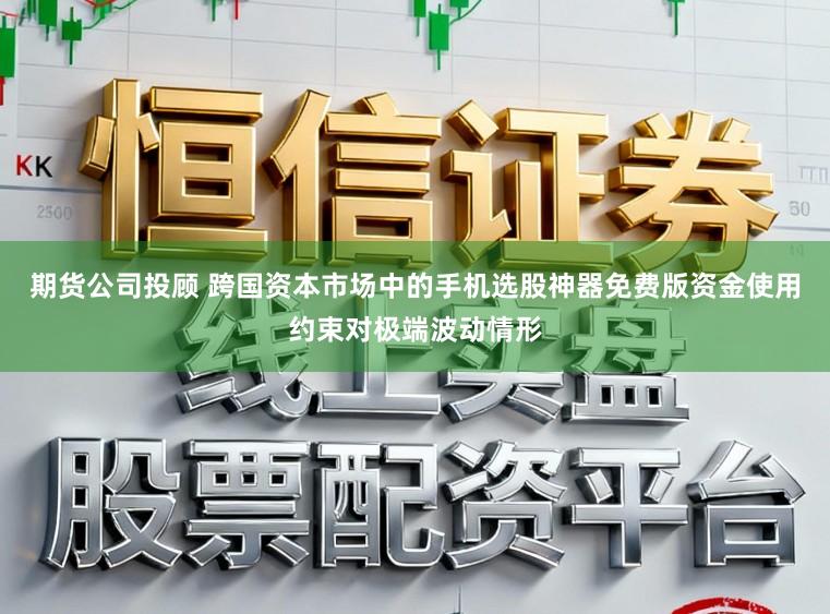 期货公司投顾 跨国资本市场中的手机选股神器免费版资金使用约束对极端波动情形