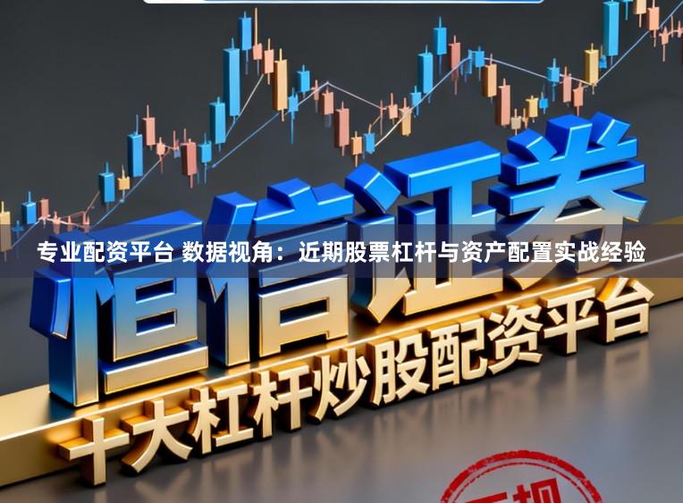 专业配资平台 数据视角:近期股票杠杆与资产配置实战经验
