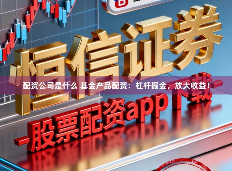 配资公司是什么 基金产品配资:杠杆掘金,放大收益!